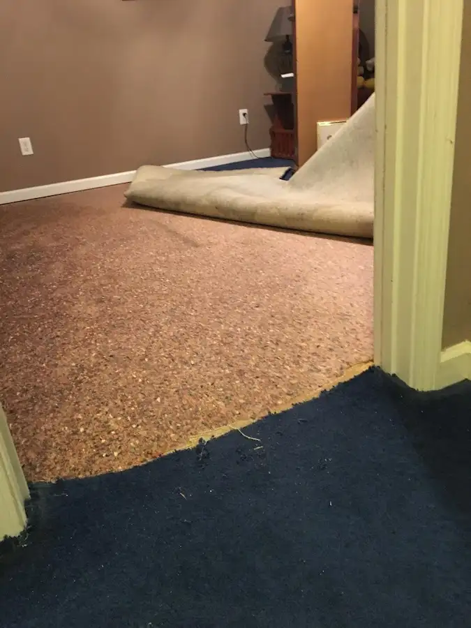 Carpet pad removal revealing water damage during Drying & Dehumidification in Riviera Beach