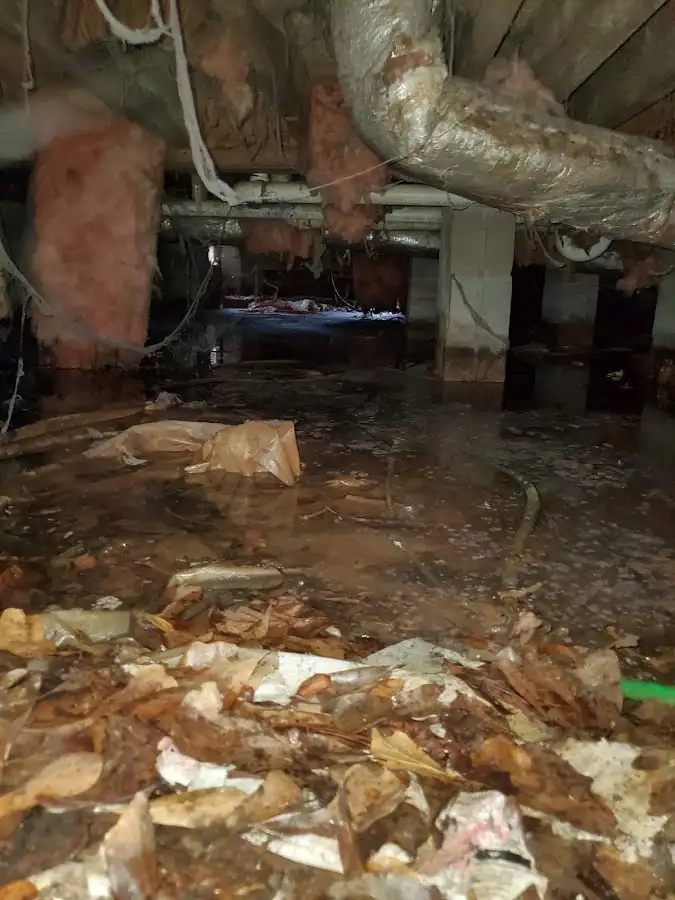 Crawl space flood assessment for Leak Detection & Repair in Riviera Beach